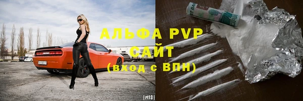 индика Алексин