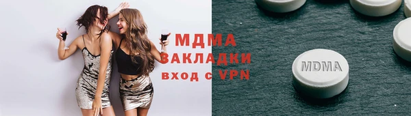 индика Алексин