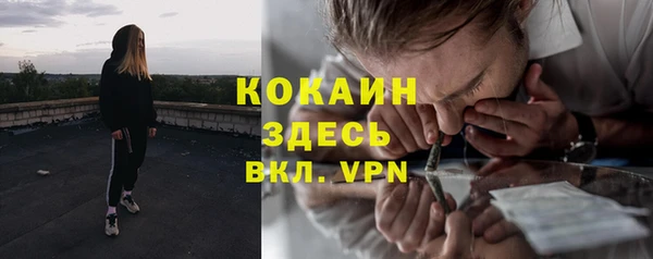 индика Алексин