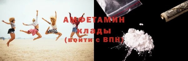 индика Алексин