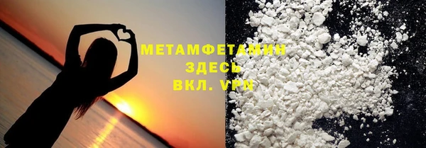 индика Алексин